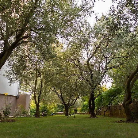 Апартаменты Lena Задар