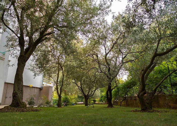 아파트 Lena 자다르